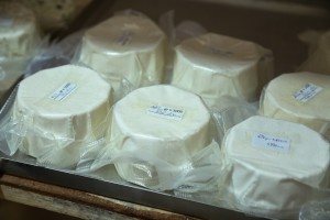 Proizvođači sira od kozjeg mleka