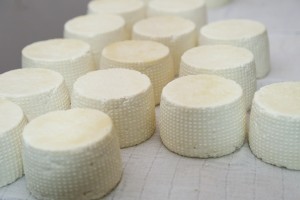 Proizvođači sira od kozjeg mleka