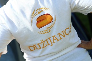 Bunjevački ris - tradicionalno košenje žita