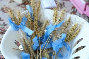 Bunjevački ris - tradicionalno košenje žita