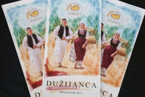 Najava "Takmičenja risara"