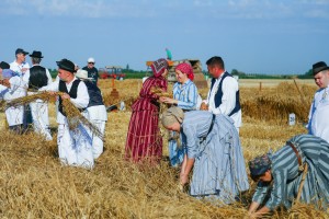 Dužijanca 2023 - takmičenje risara u Đurđinu