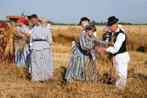 Dužijanca 2023 - takmičenje risara u Đurđinu