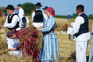 Dužijanca 2023 - takmičenje risara u Đurđinu