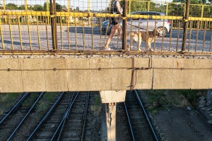 Majšanski most - oštećenja na nosećim stubovima