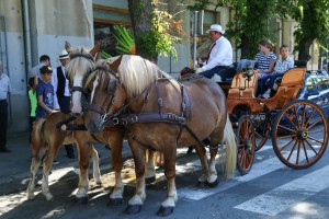 Dužijanca 2023 - Centralna svečanost