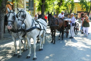 Dužijanca 2023 - Centralna svečanost