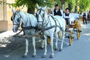 Dužijanca 2023 - Centralna svečanost
