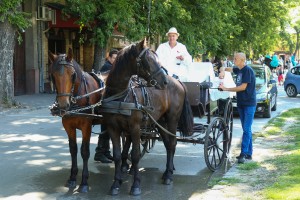 Dužijanca 2023 - Centralna svečanost