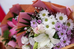 Poseta bebama rođenim na Dan grada - 1. septembar