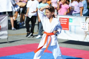 Zavičajni dani 2023 - Dečji festival sporta