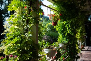 Otvaranje restorana "Shiraz"