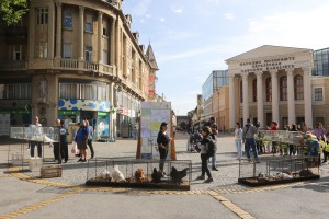 Оbeležavanjе svetskog dana životinja