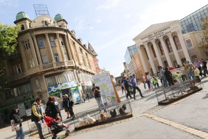 Оbeležavanjе svetskog dana životinja