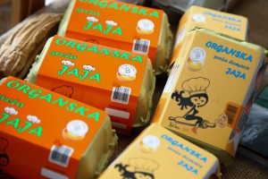 XIX festival "Biofest"