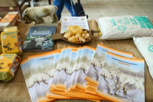 XIX festival "Biofest"