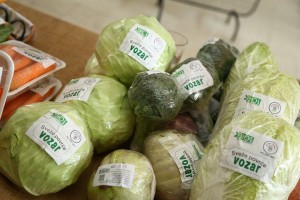 XIX festival "Biofest"