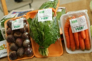 XIX festival "Biofest"