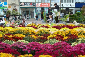 Sajam cveća na Gradskom trgu