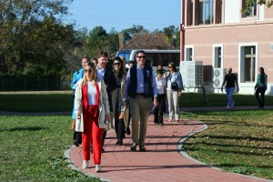 Kamp omladinskog aktivizma