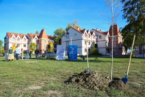 Kamp omladinskog aktivizma