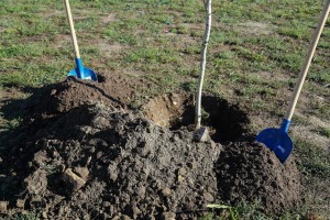 Kamp omladinskog aktivizma