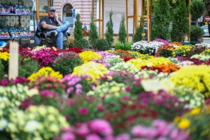 Sajam cveća "Garden flora"