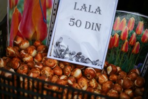 Sajam cveća "Garden flora"