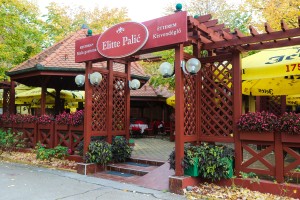 Skup sekcije za zaštitu arheološkog nasleđa Srpskog arheološkog društva