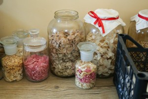 Obeležavanje Evropskog dana pravilne ishrane i kuvanja sa decom