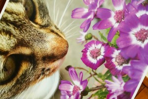 Izložba i dodela nagrada povodom konkursa "Razglednica sa raspusta"