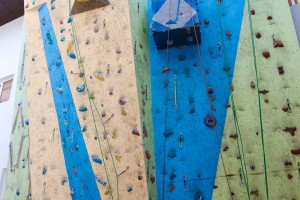 Obeležavanje Dana tolerancije