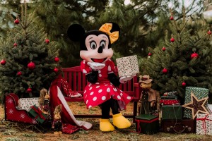 "Su maskote" - vesela družina za dobru zabavu i nezaboravane uspomene