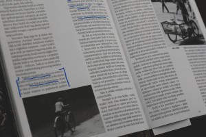 Stručni skup "Vozi bezbedno, poštuj pravila" iz oblasti bezbednosti saobraćaja