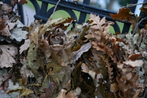 Organizovan polazak na seču i posvećenje badnjaka u šumi na Makovoj sedmici
