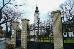 Organizovan polazak na seču i posvećenje badnjaka u šumi na Makovoj sedmici