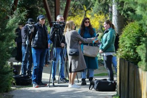 Hijene u Zoo vrtu na Paliću