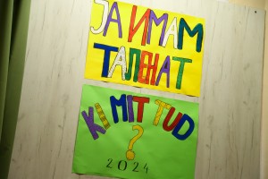 Manifestacija "Ja imam talenat"