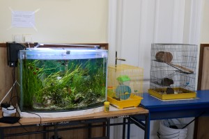 Otvoreni dan u Hemijsko-tehnološkoj školi