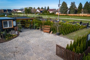 Rasadnik "Park Palić" - sve neophodne biljke i sadnice ukrasnog bilja