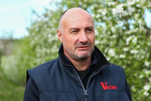 Proizvodnja jabuke u Tavankutu