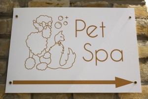 Otvaranje salona za negu i šišanje pasa - "Pet Spa"