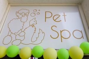 Otvaranje salona za negu i šišanje pasa - "Pet Spa"