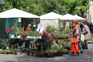 Garden flora - prolećna izložba i vašar cveća
