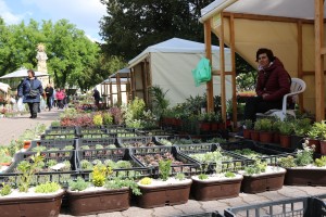 Garden flora - prolećna izložba i vašar cveća