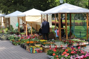 Garden flora - prolećna izložba i vašar cveća