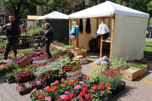 Garden flora - prolećna izložba i vašar cveća