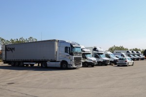 "Dan devojčica" u Adam špedu