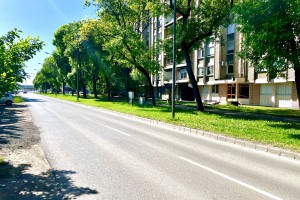 Šetnja Ulicom braće Radić