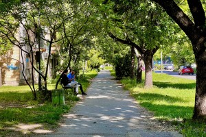 Šetnja Ulicom braće Radić